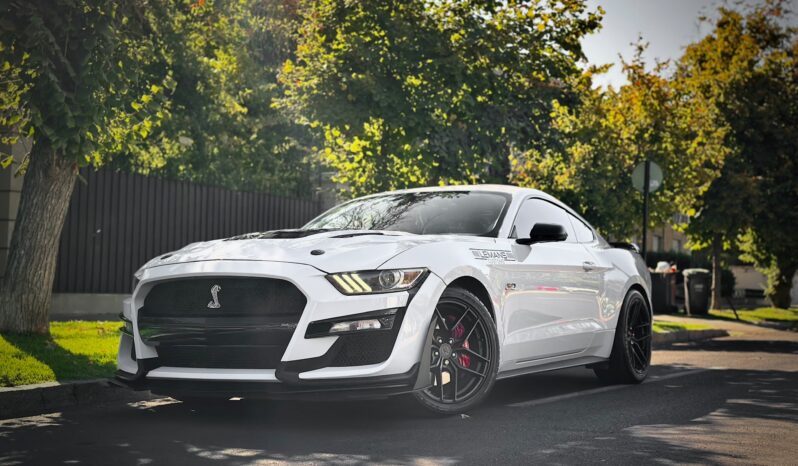 Ford Mustang GT Look Shelby 2016 lleno