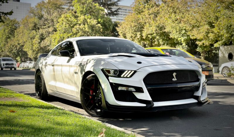 Ford Mustang GT Look Shelby 2016 lleno